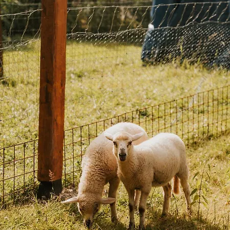 Pri Piecke A Restauracia Staré Hory